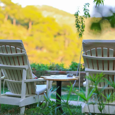 Cetmihan Hotel 4*