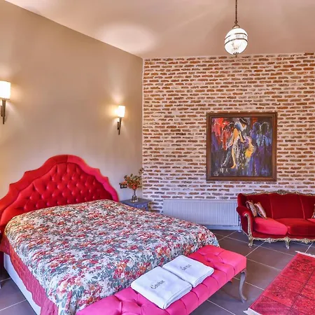 Ξενοδοχείο Cetmihan 4*