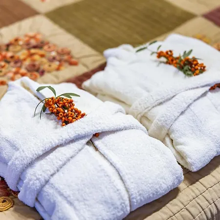 Hotel Cetmihan 3*